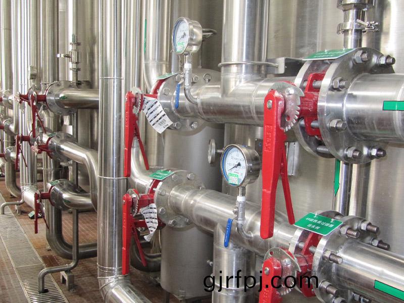 飲料(liao)廠20m3ph純(chun)水(shui)係統